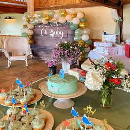 Baby Shower at Spring Meadows Wedding and Event Center